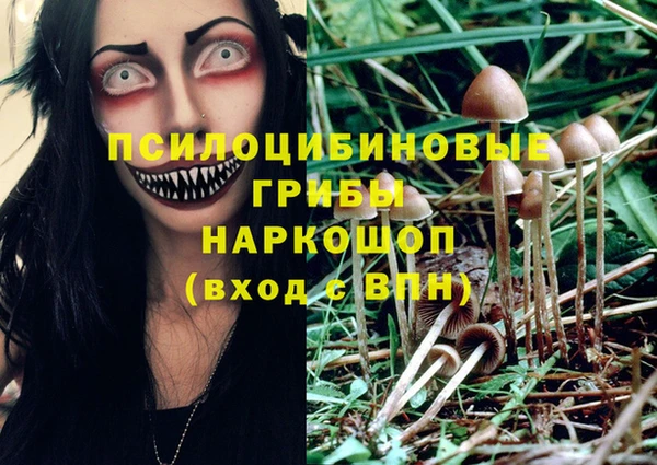 сатива Балабаново
