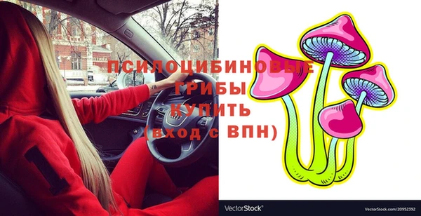 сатива Балабаново