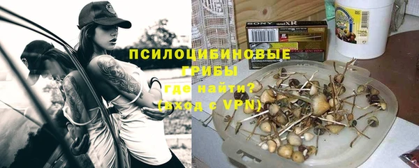 трава Балахна