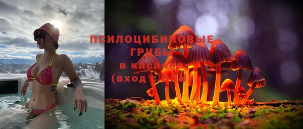 сатива Балабаново