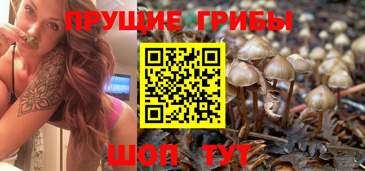 Барабинск  Псилоцибиновые грибы мицелий  Вход с VPN 