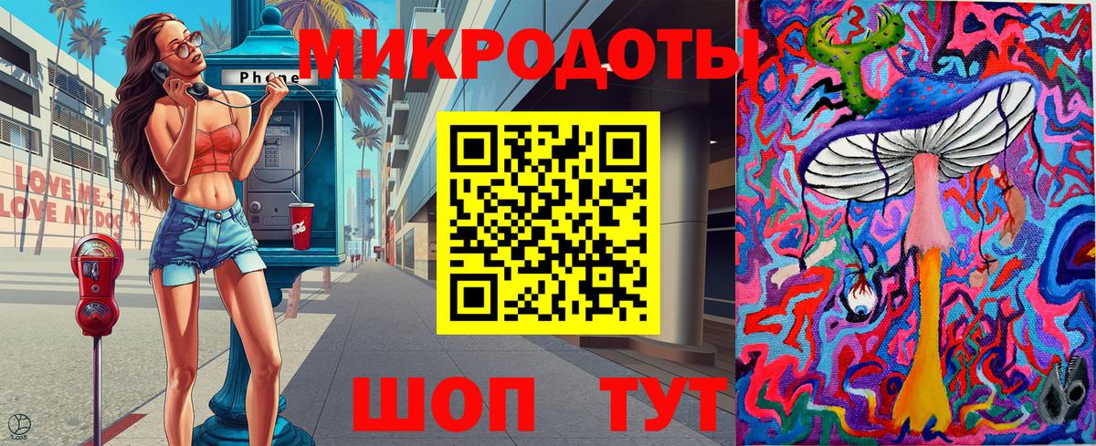 Галлюциногенные грибы Psilocybe Барабинск